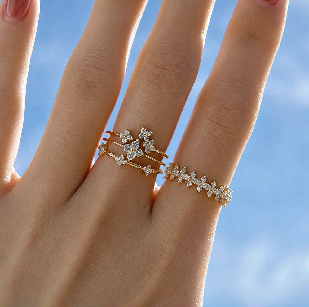 Fine Rings